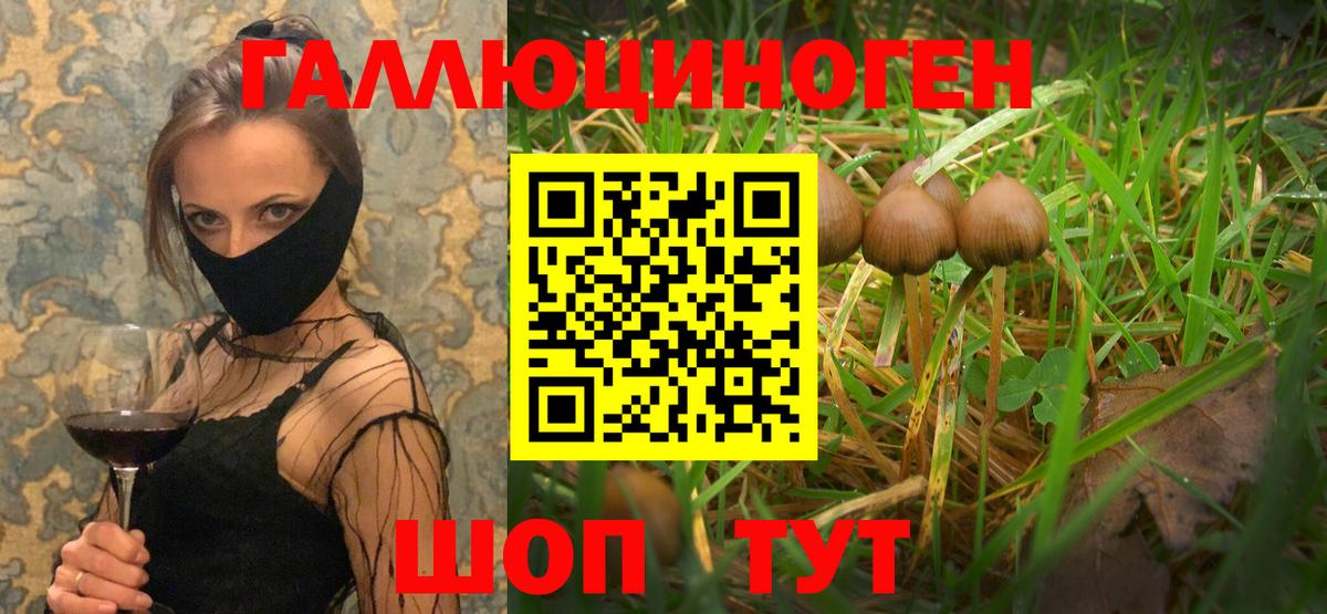 Псилоцибиновые грибы Magic Shrooms  Вход с VPN  Кудрово 